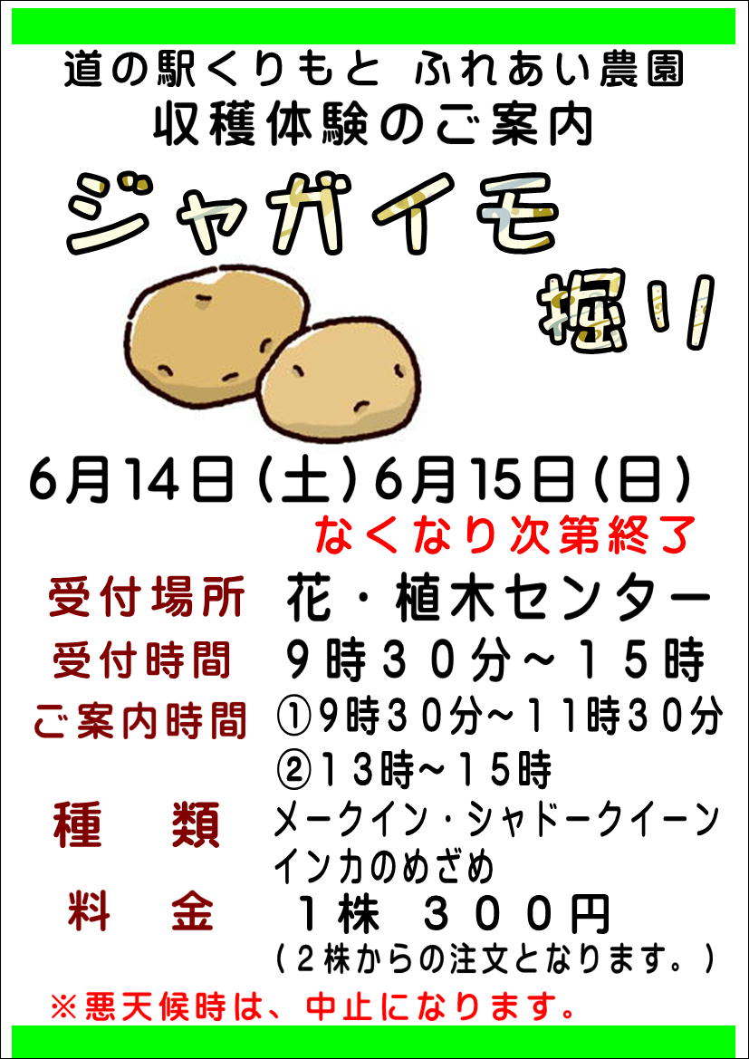 6/14・6/15🥔ジャガイモ掘り体験🥔