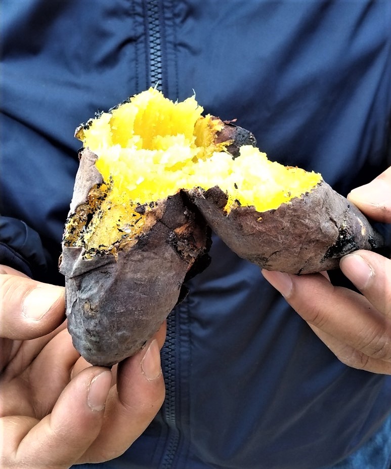 12/21(日)すくもDE焼き芋