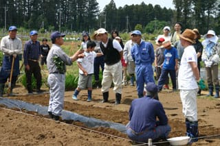 日帰り型市民農園