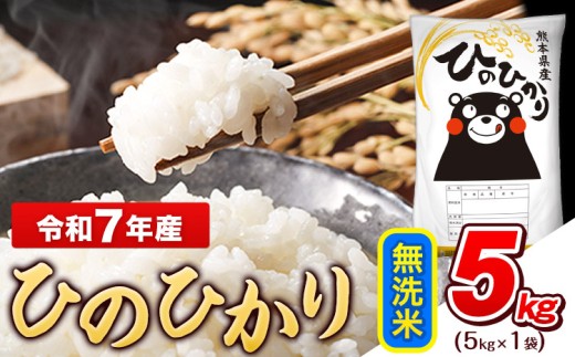 無洗米 ひのひかり5kg（熊本県玉東町）令和7年産 熊本県産