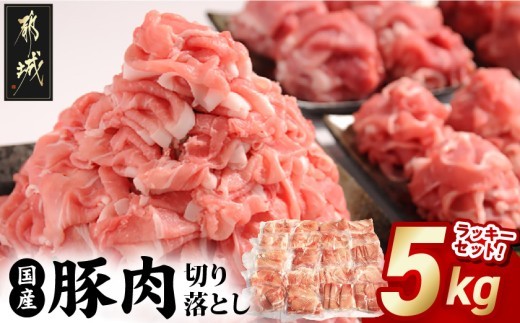 宮崎県都城市 国産豚肉切り落とし5kg（250g×20袋・ラッキーセット）