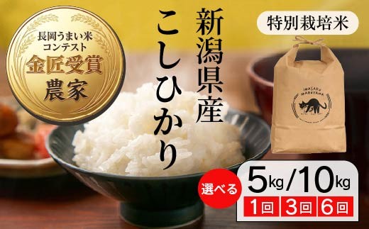新潟県長岡市 新潟県産コシヒカリ(特別栽培米・稲作まる山)