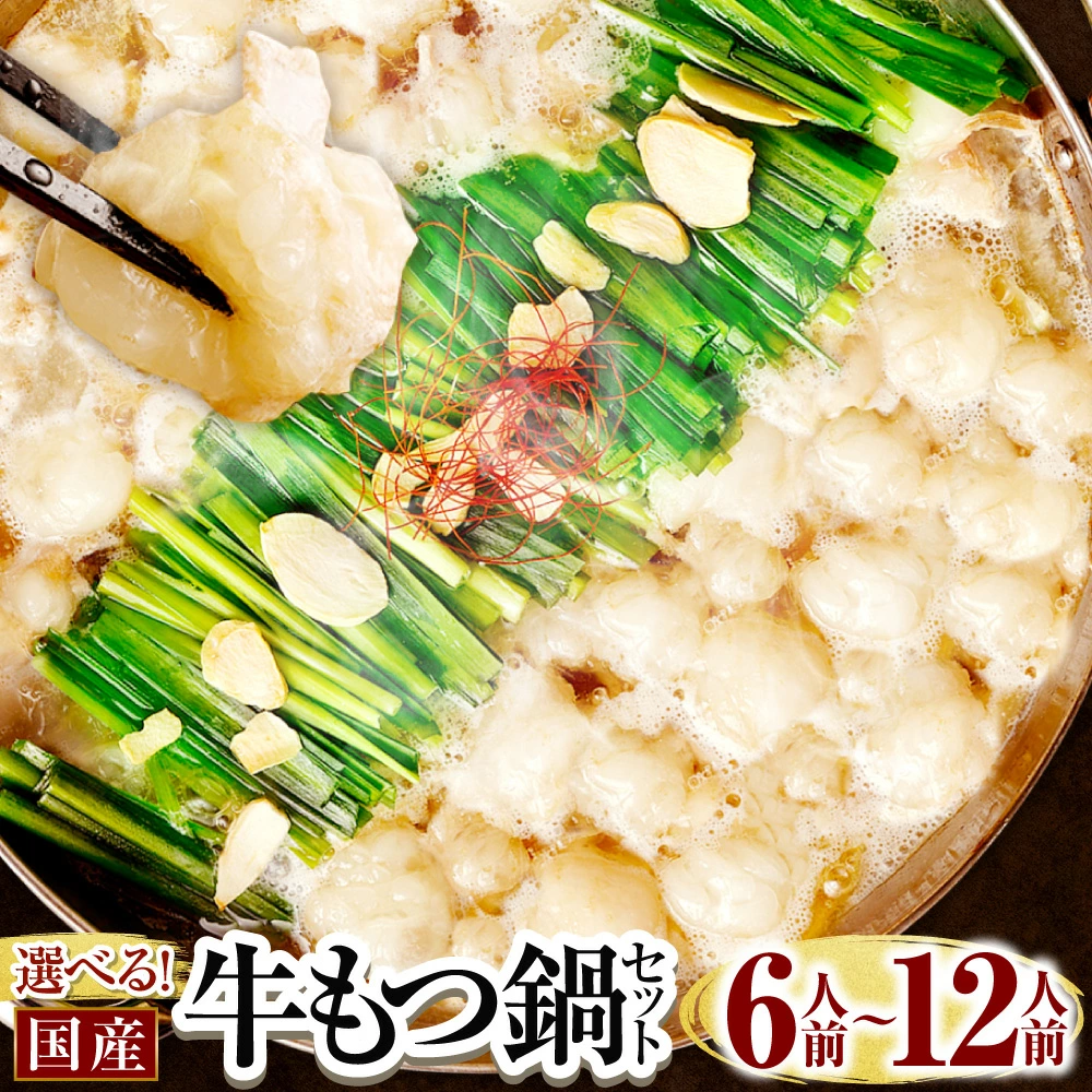 福岡県遠賀町 国産牛もつ鍋セット