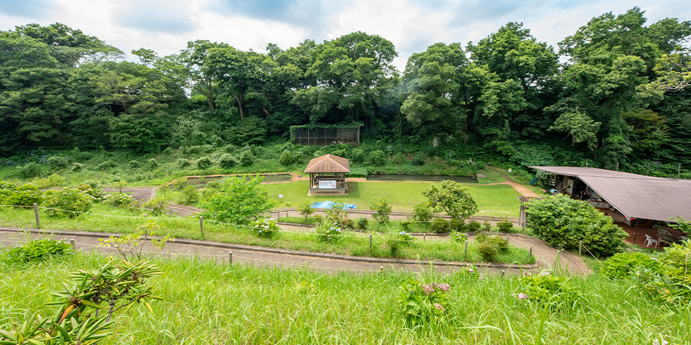 里山公園