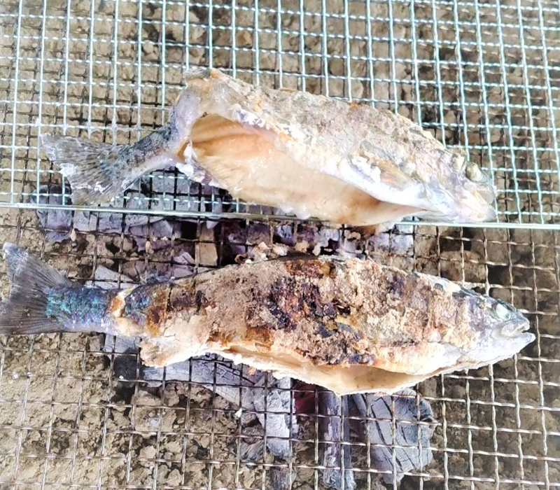 ニジマス焼き　～自分で釣ったニジマスを自分で焼いて食べる～