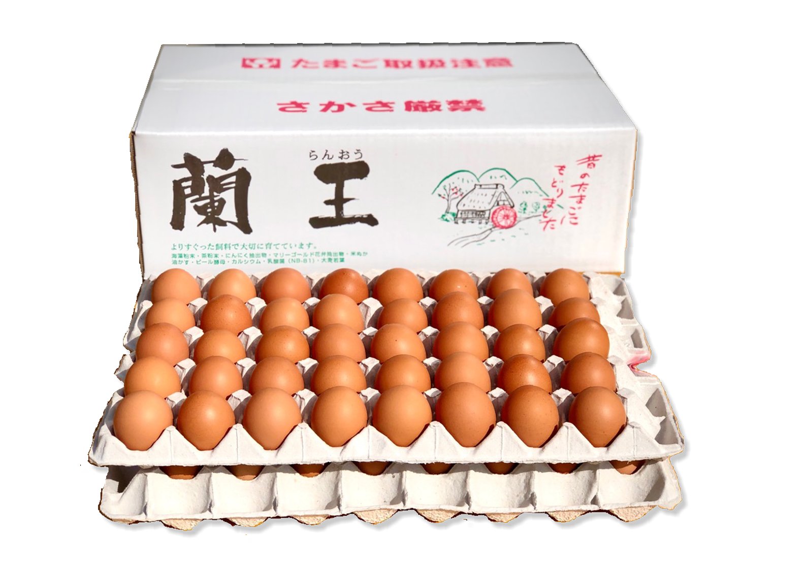蘭王たまご 80個入り（大分県日出町）