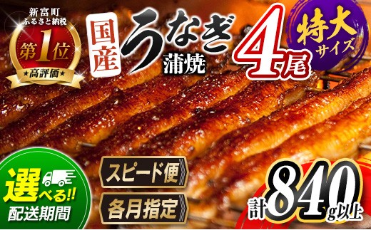 宮崎県新富町 特大うなぎ蒲焼4尾(鰻楽 国産うなぎ蒲焼 計840g以上)