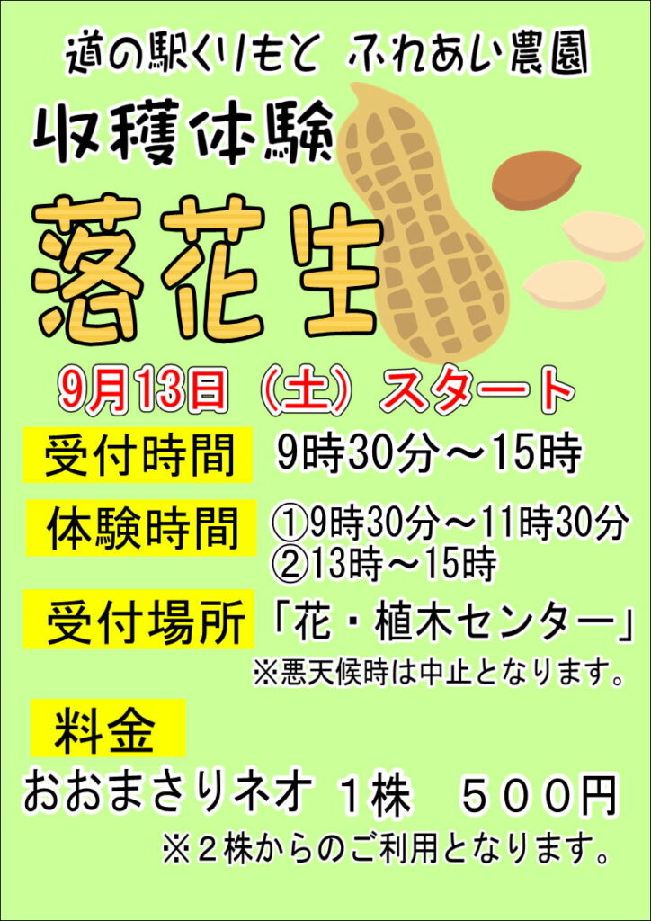 9/13（土）落花生の収穫体験再開
