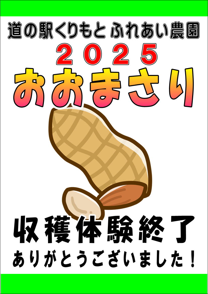 おおまさり収穫体験終了