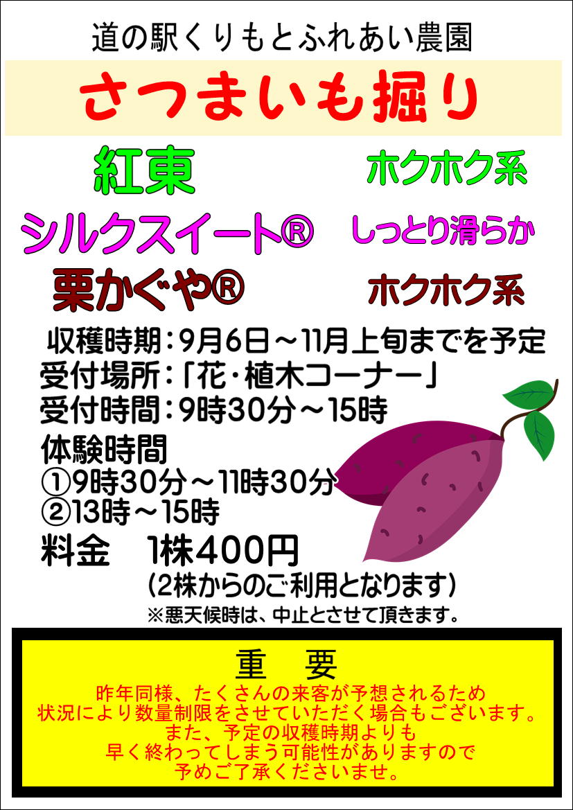 収穫体験”さつまいも”更新9/6