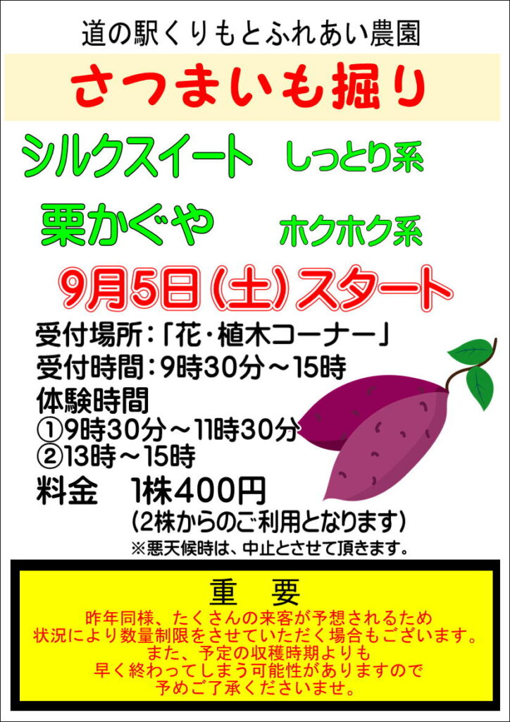 9/5(土)さつまいも掘りスタート