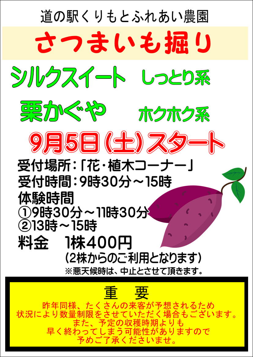 9/5(土)さつまいも掘りスタート