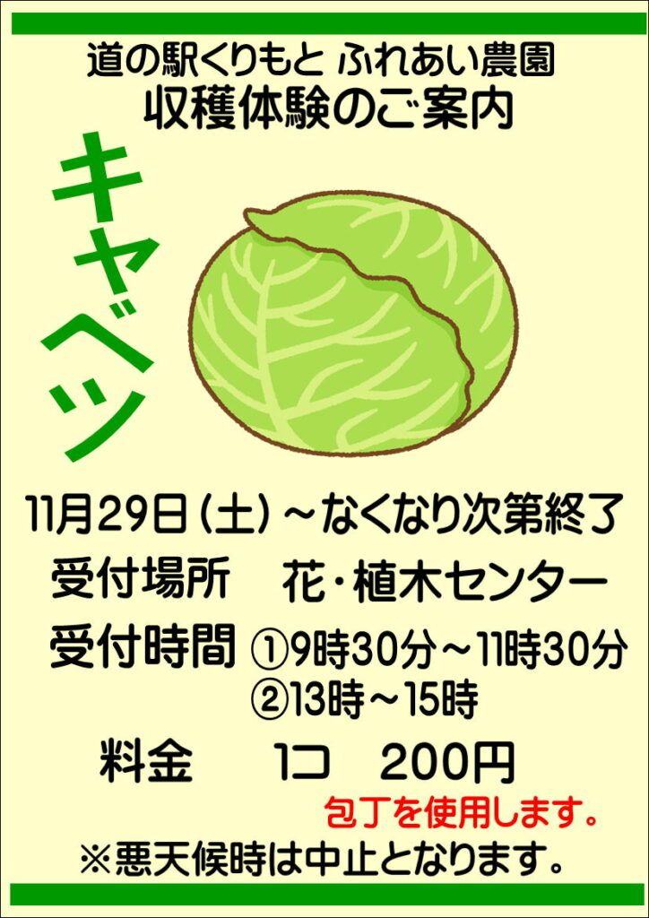 11/29(日)収穫体験”キャベツ”スタート