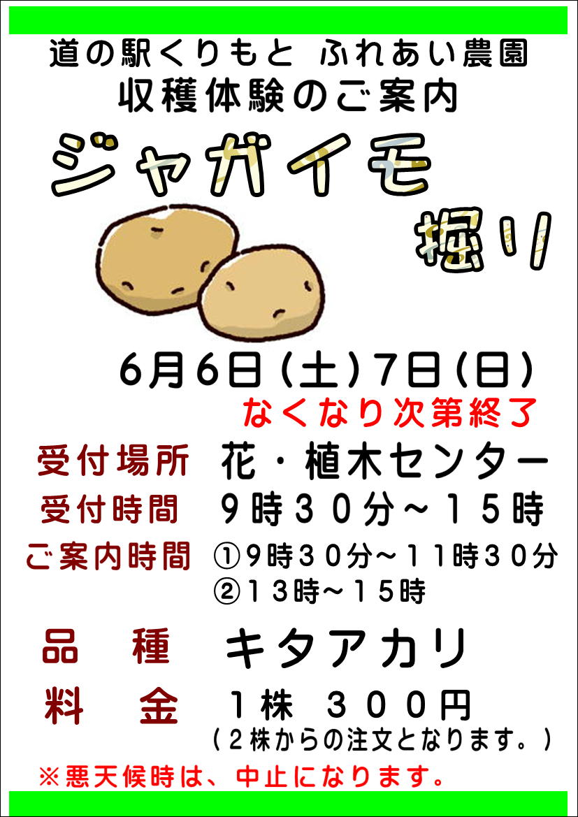 6/6(土)、7日　ジャガイモ掘り