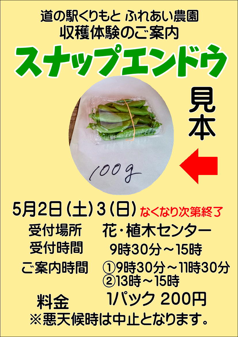 5/2(土)3(日)収穫体験”スナップエンドウ”