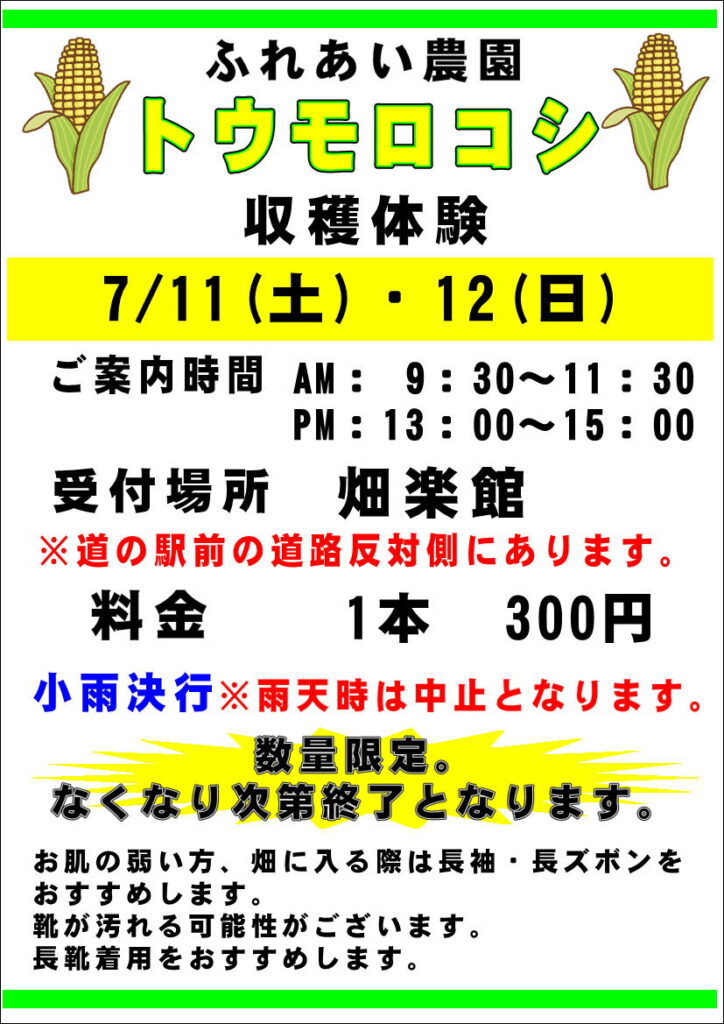 7/11(土)、12(日)”トウモロコシ”の収穫体験