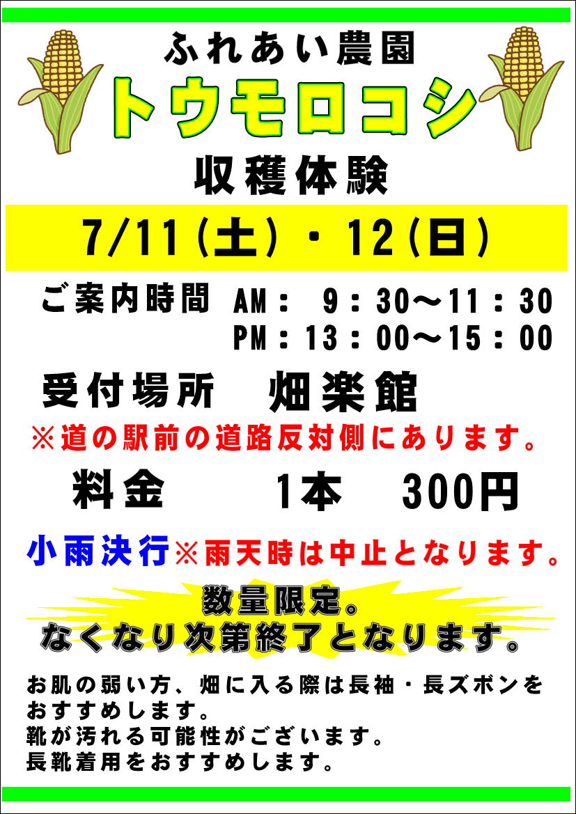 7/11(土)、12(日)”トウモロコシ”の収穫体験