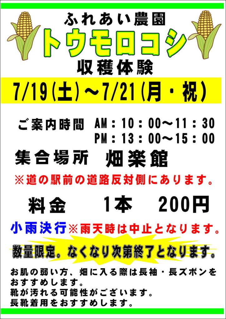 トウモロコシ収穫体験&食味コンテスト