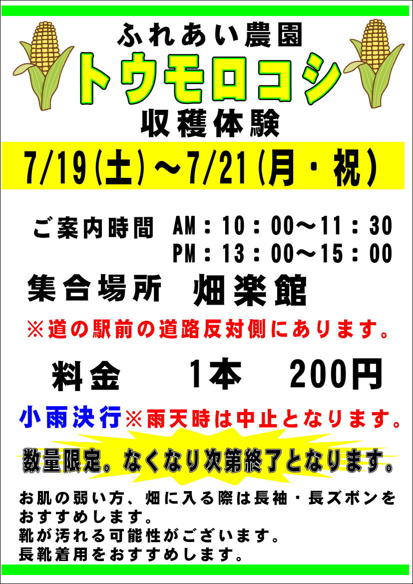 トウモロコシ収穫体験&食味コンテスト