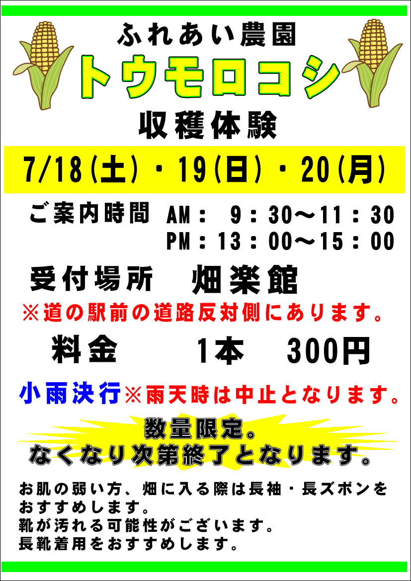 7/18(土)、19(日)、20(月)”トウモロコシ”の収穫体験