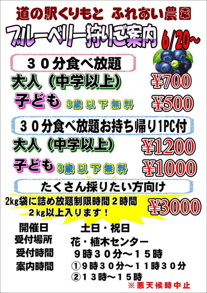 6/20(土)から”ブルーベリー狩り”