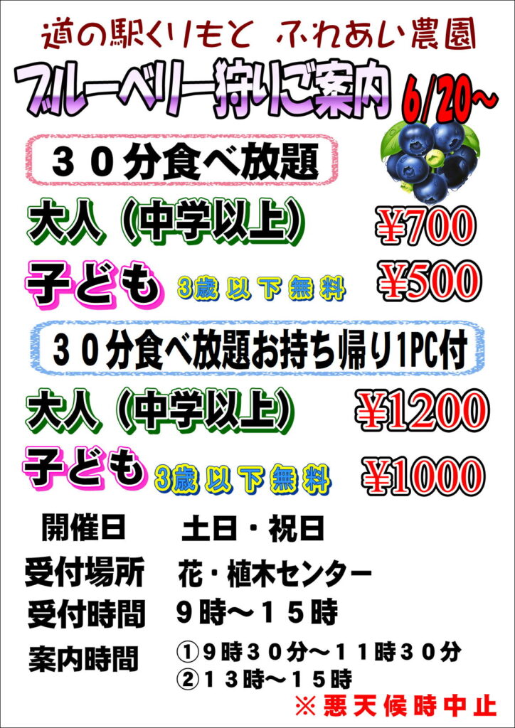 6/20(土)から”ブルーベリー狩り”