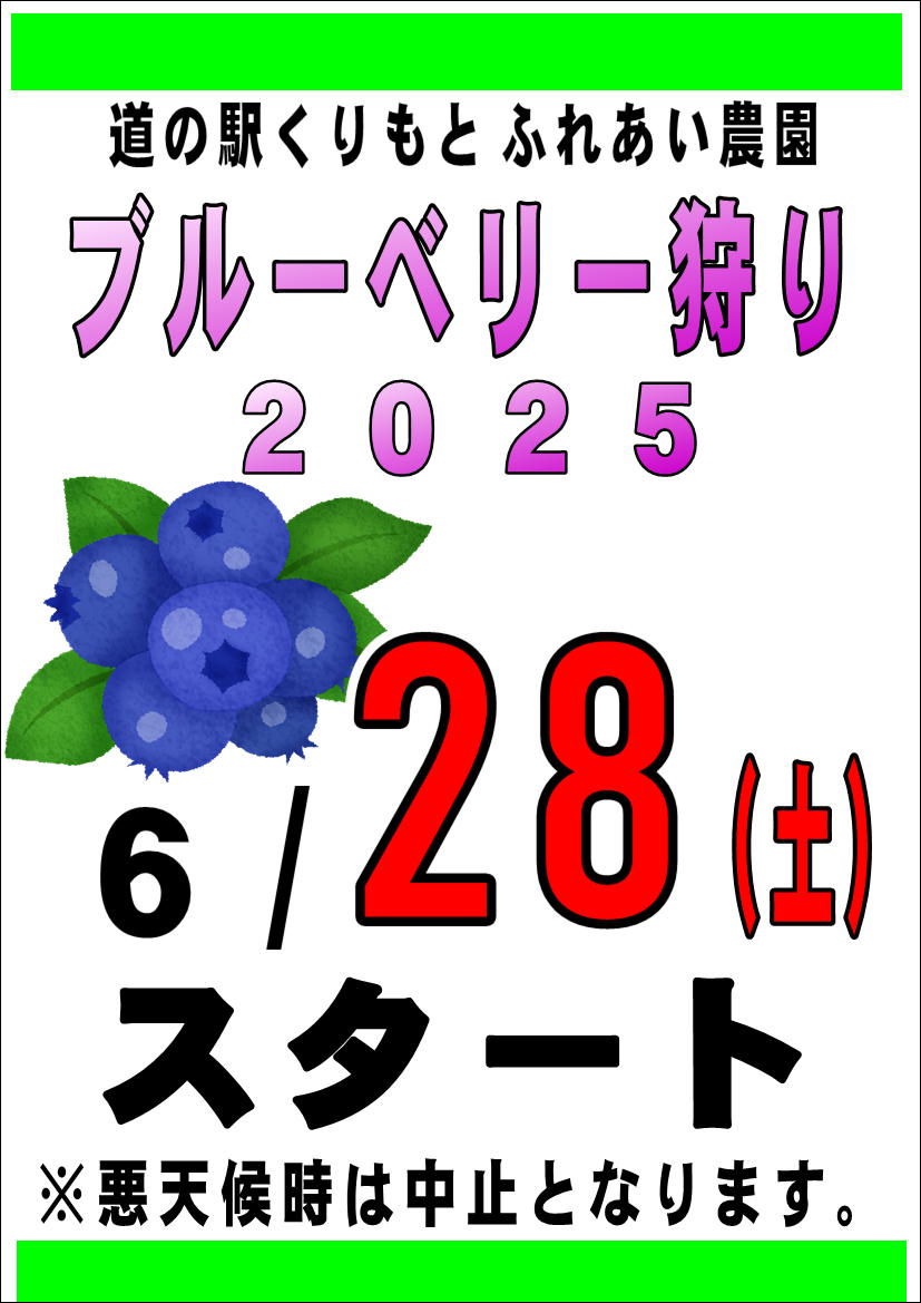 ブルーベリー狩りスタート