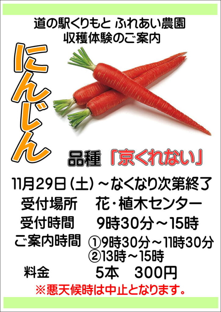 11/29(土)収穫体験”人参”スタート
