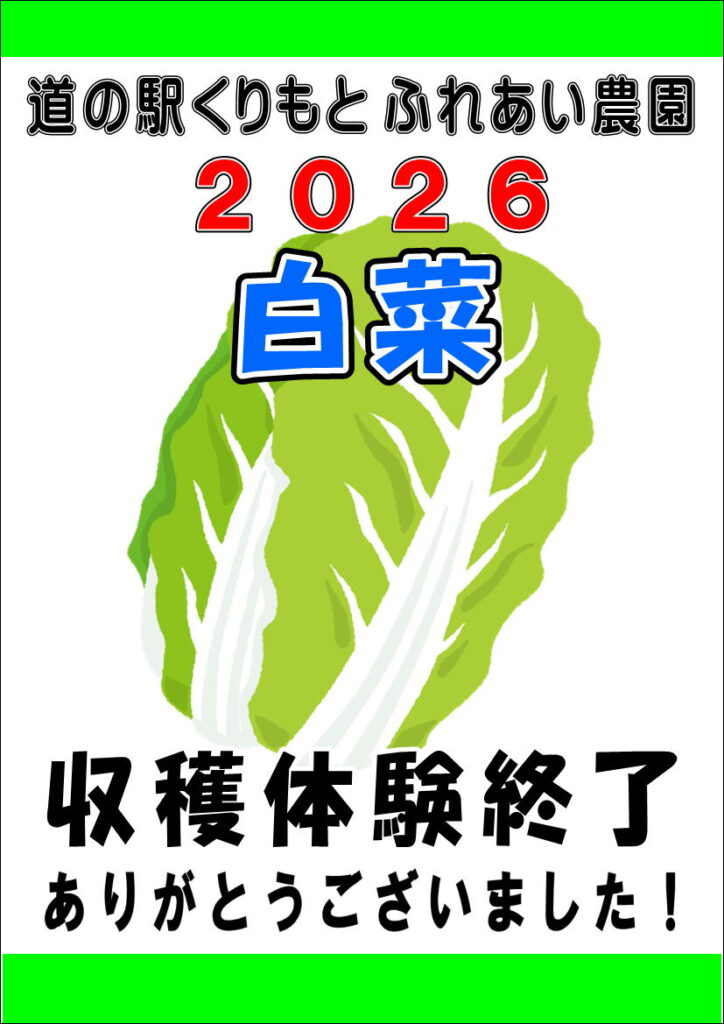 収穫体験”白菜”終了