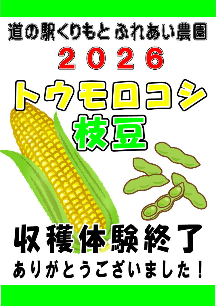 トウモロコシ・枝豆　収穫体験終了