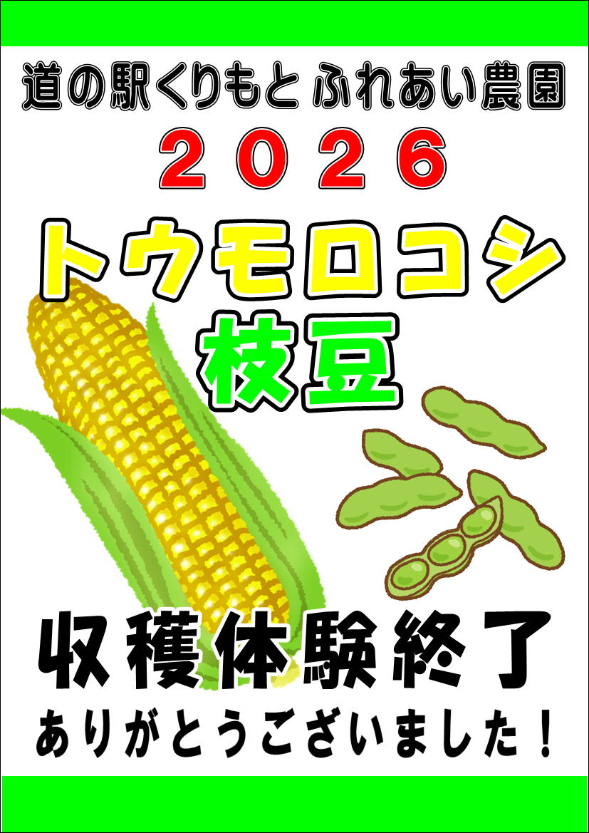 トウモロコシ・枝豆　収穫体験終了