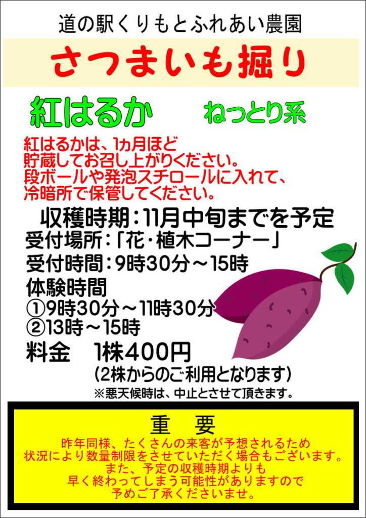 11/3　さつまいも掘り更新