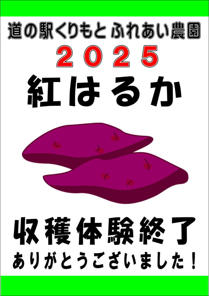 11/17 収穫体験”紅はるか”終了