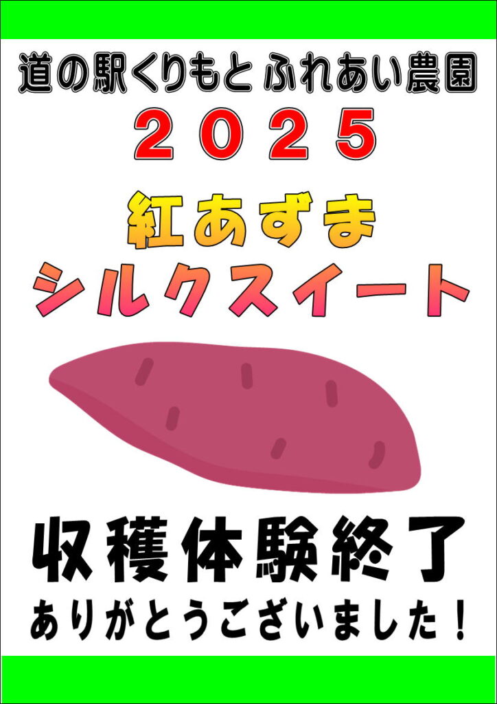 11/3　さつまいも掘り　”紅東”　”シルクスイート”　終了